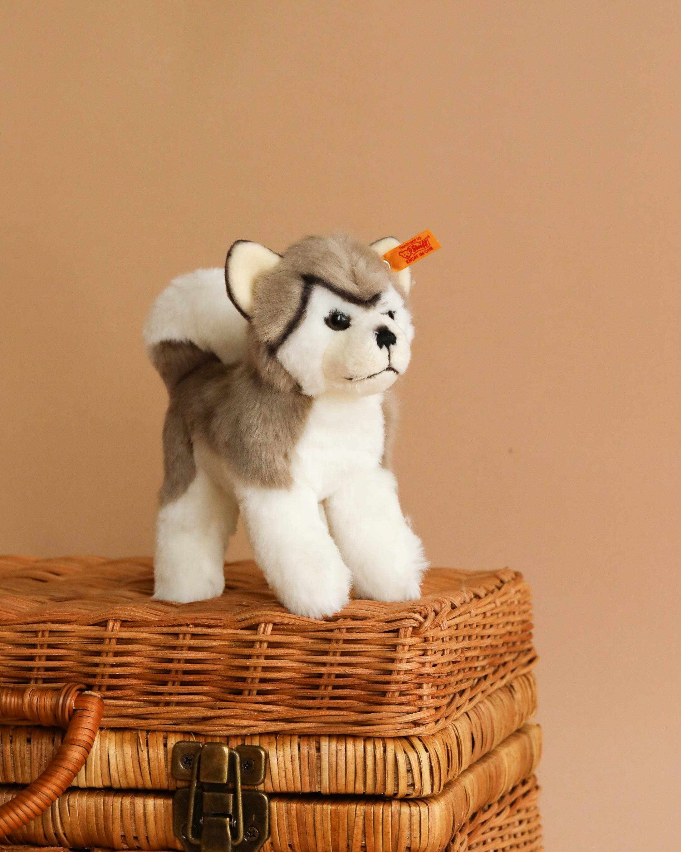 Steiff, Bernie Husky Plush Stuffed Toy Dog, 7 Inches