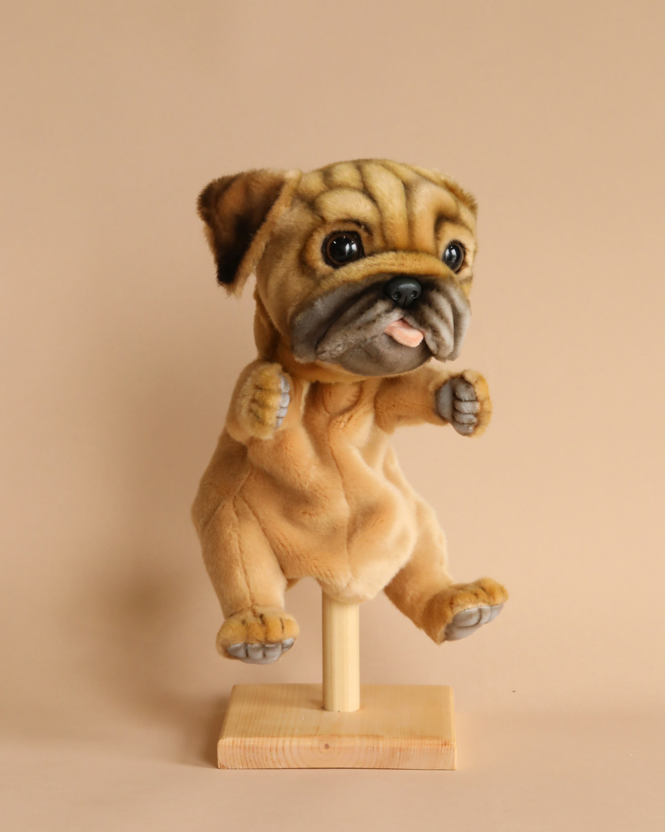 Pug Dog Puppet