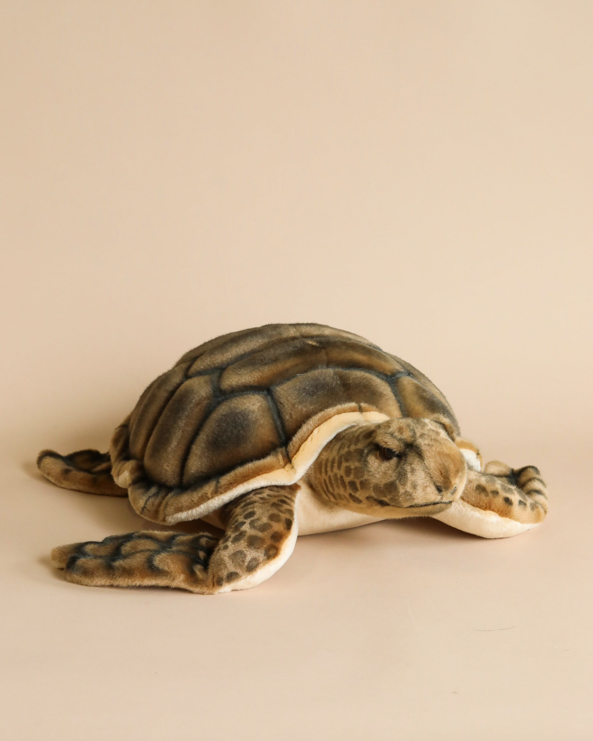 Sea Turtle Stuffed Animal