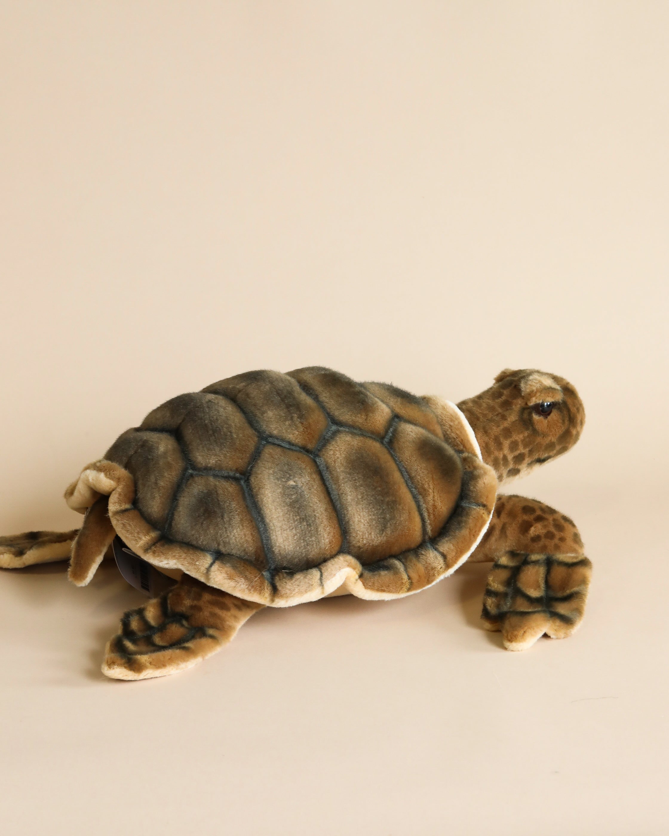 Sea Turtle Stuffed Animal